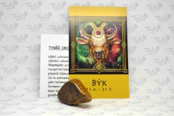 BÝK / Taurus (21. 4. - 21. 5.)